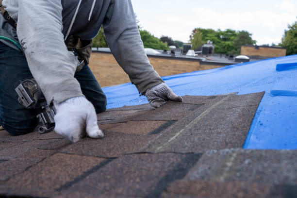 Best Storm Damage Roof Repair  in Kimberling City, MO